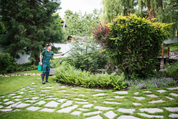Lawn Renovation and Restoration in Little Falls, NY